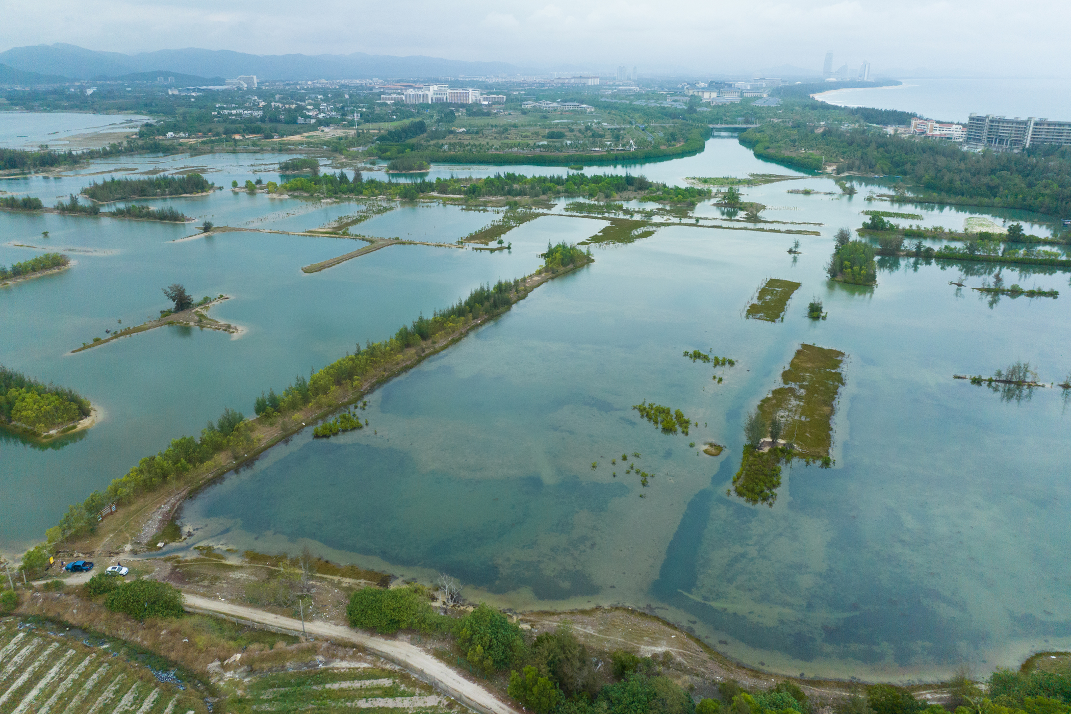 新闻配图1：马爹利红树林保护第二项目点落地海南省三亚市铁炉港红树林保护区.jpg