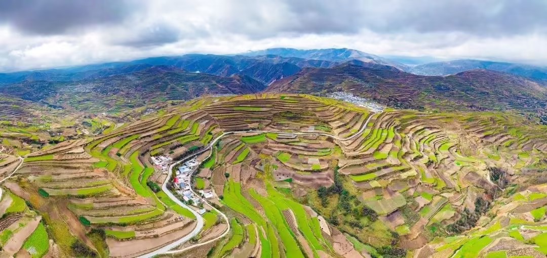 劲牌公司药材种植基地.jpg