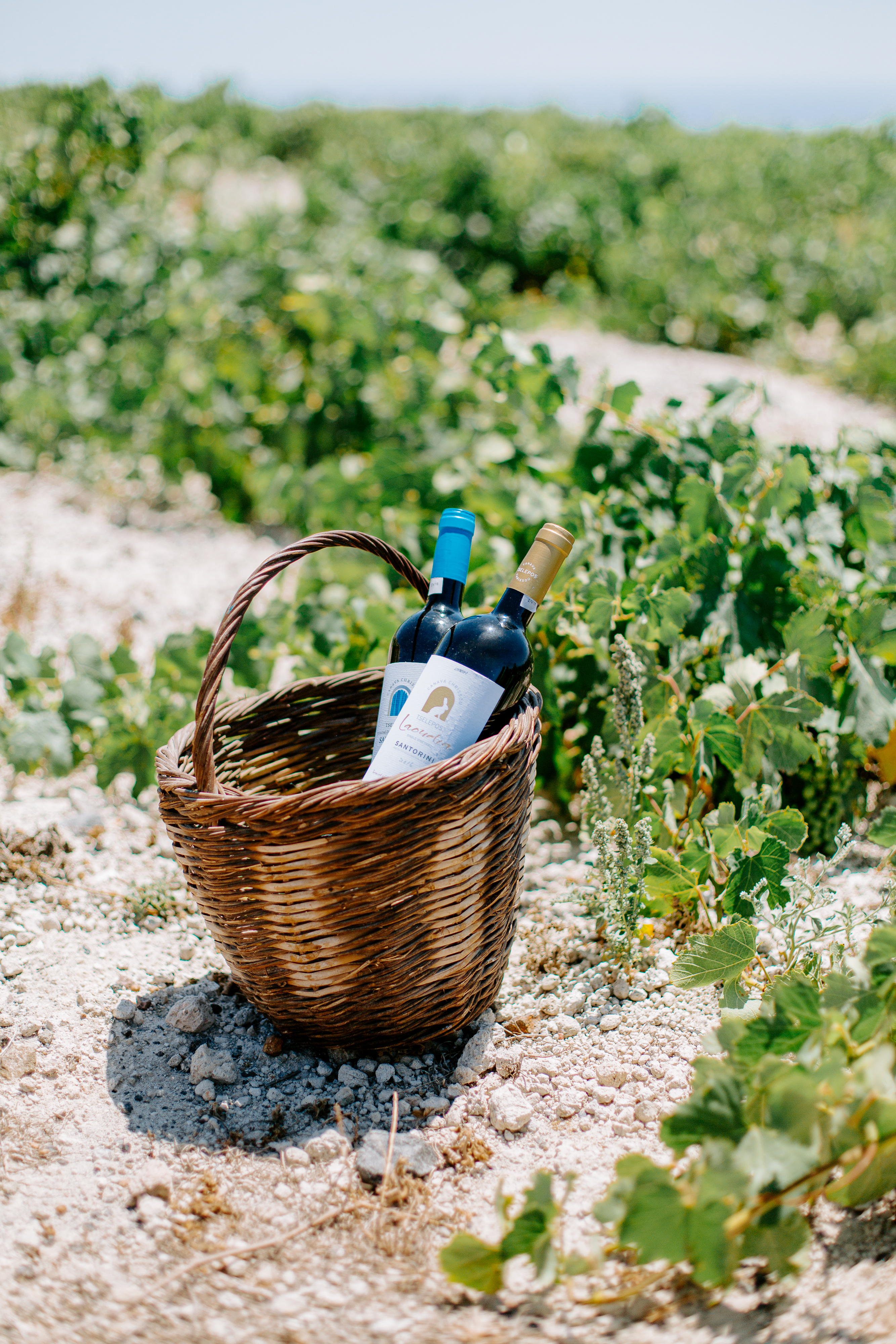 Santorini Wines (2).jpg
