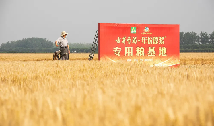 解码“年份原浆”：好酒源自好原粮931.png