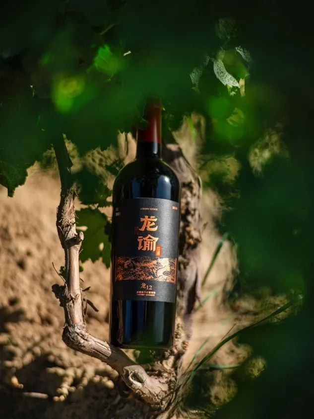 张裕已成为中国乃至全球葡萄酒行业的最重要的参与者之一