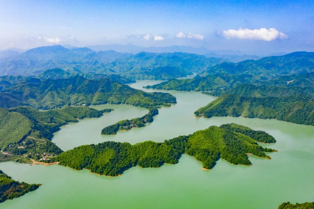 大师倪永培