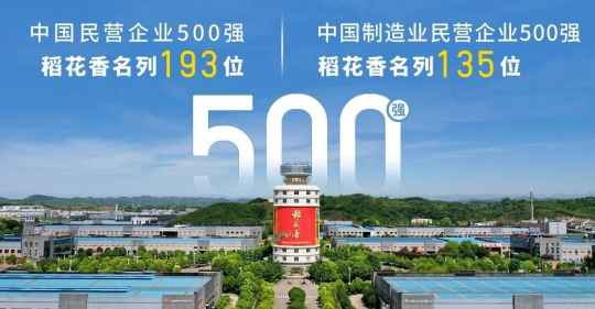 连续15年登榜民企500强，稻花香正乘“势”而“上”