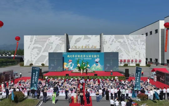 斛韵新篇，繁花启春｜魂之草霍斛花第五届采摘节盛大启幕