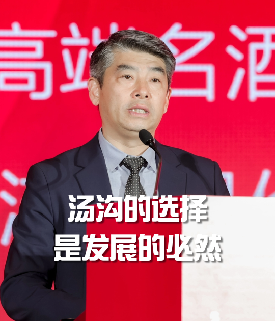 秦书尧：汤沟的选择，其实既不冒险，也不冲动，而是发展的必然
