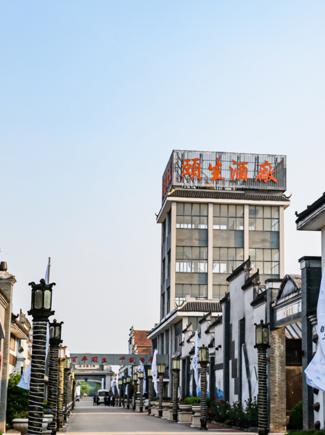 “现在是颐生发展最好的时机”｜好酒中国行·长江酒脉⑤