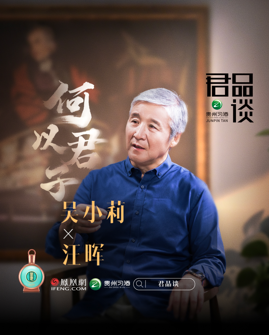 君品谈、何以君子对话清华大学文科资深教授、人文与社会科学高等研究所所长汪晖，探索人文学科的破局之道