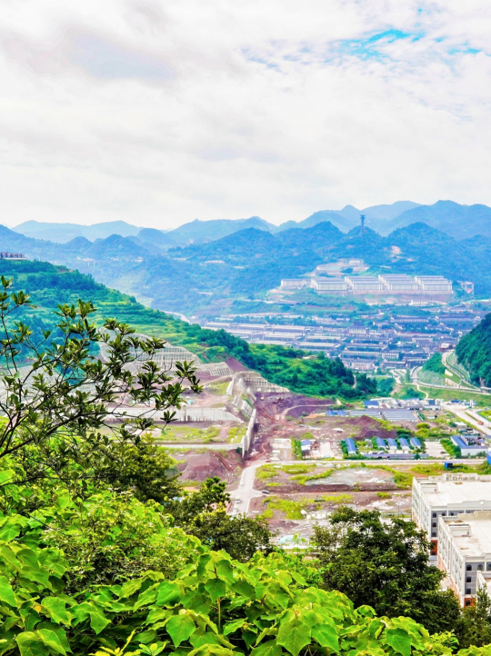茅溪3年，从“杂林荒地”到“金山银山”