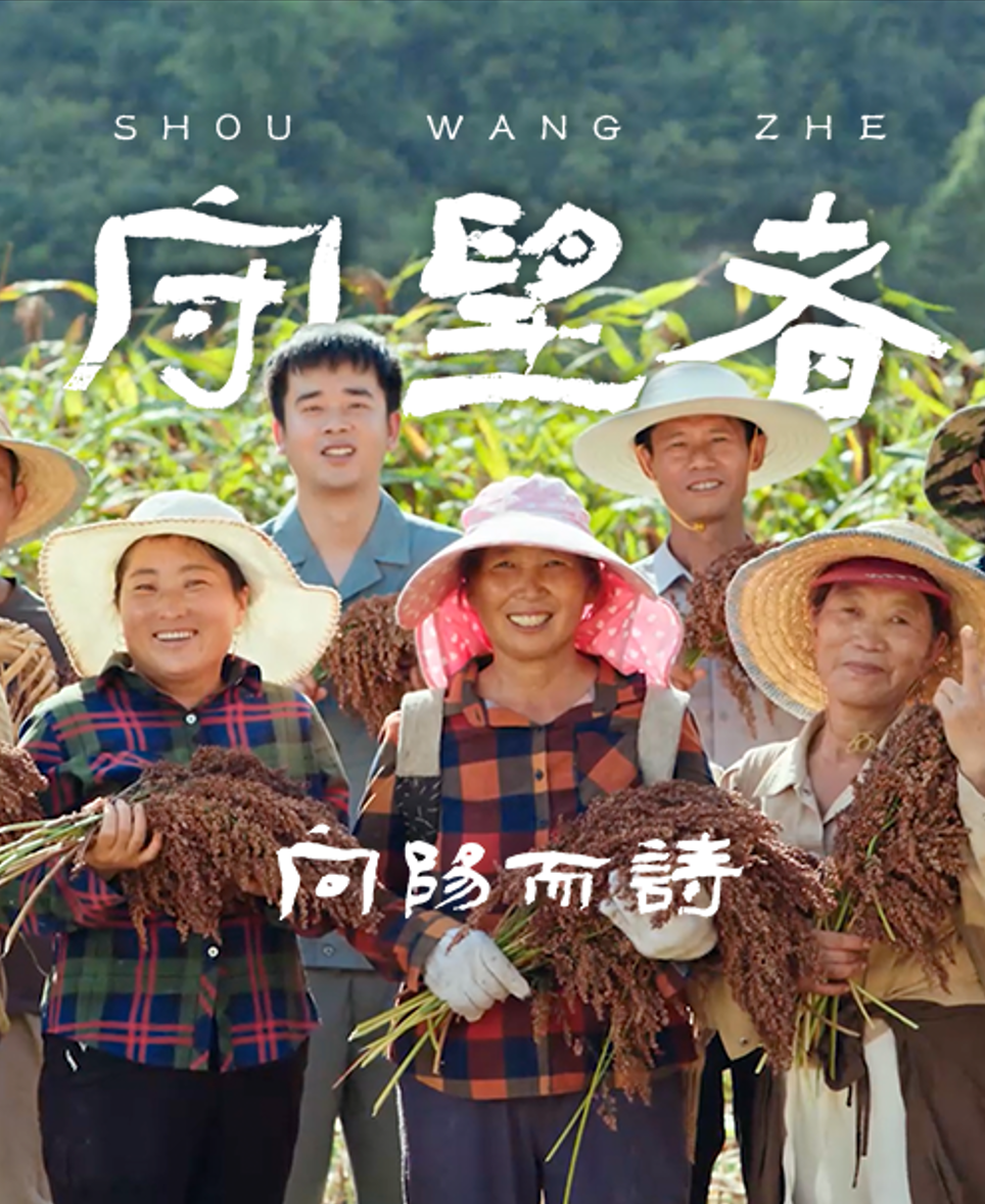 向阳而诗·守望者