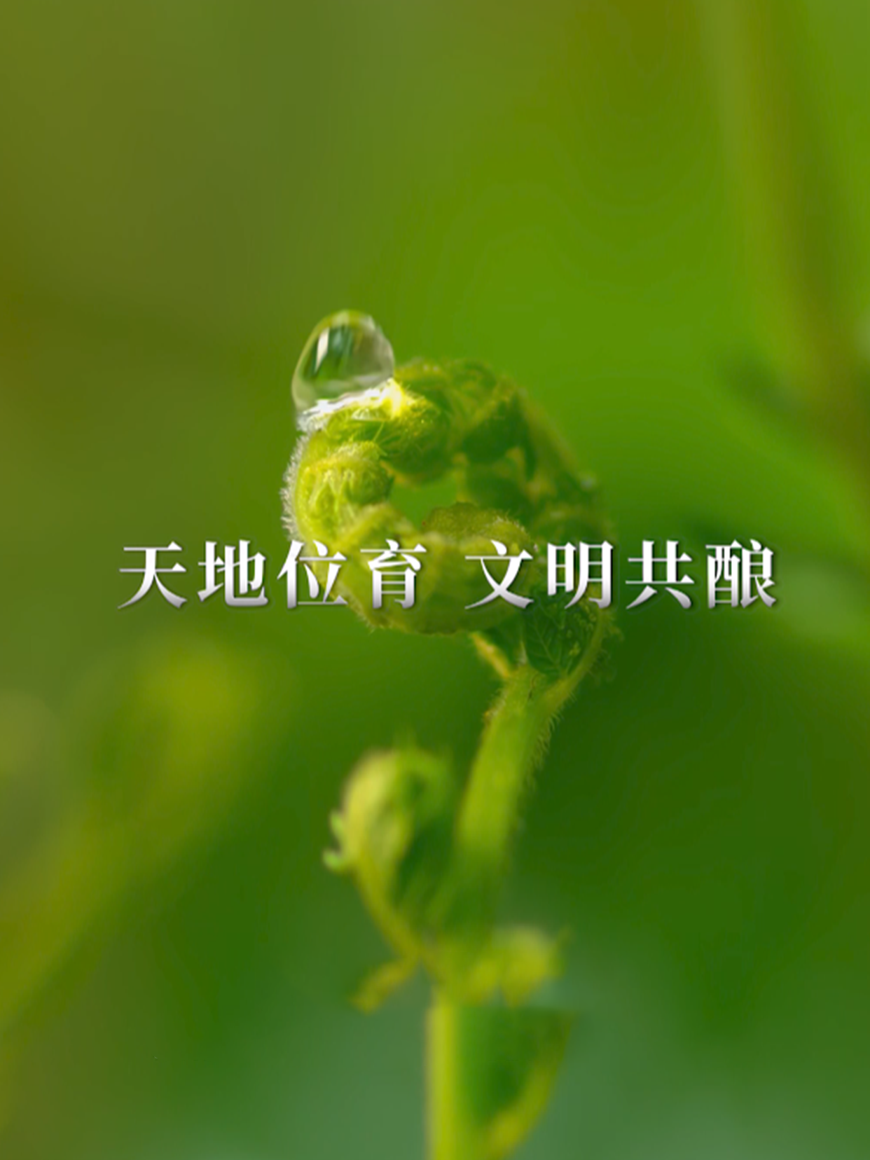 天地位育 文明共酿，2025赤水河论坛正式启幕