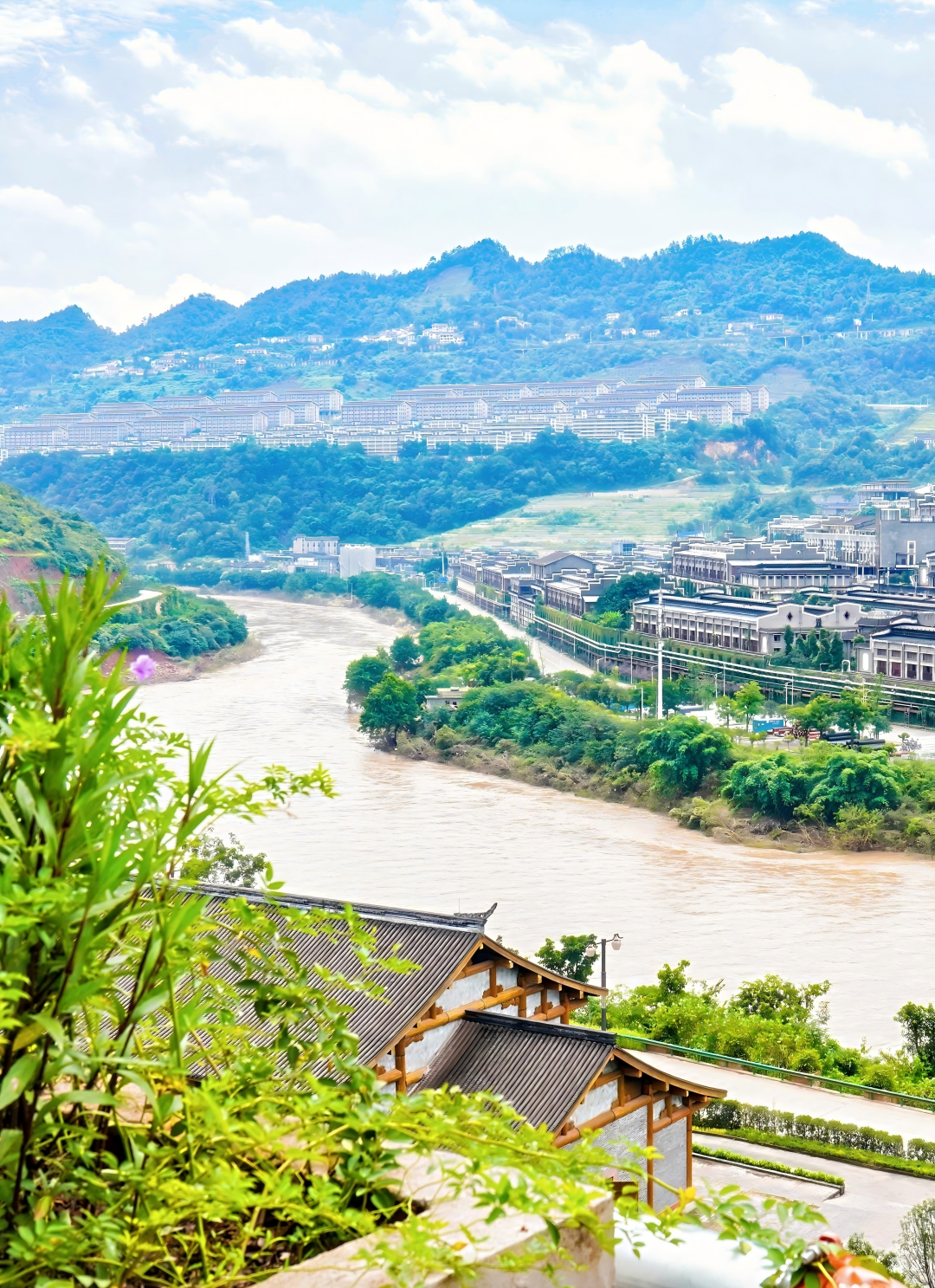 酱酒的垂直密码:海拔如何塑造风味?