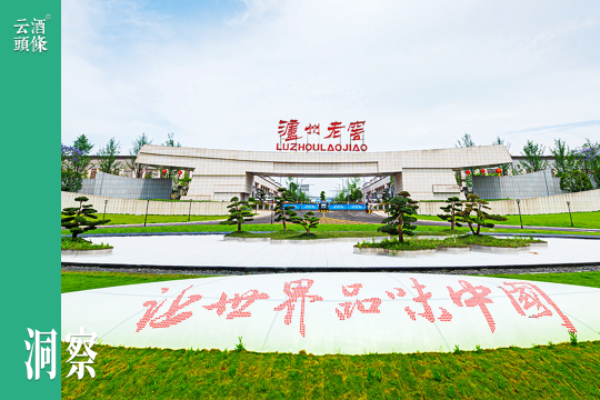 求变与求稳,我们这样看泸州老窖的三季度报