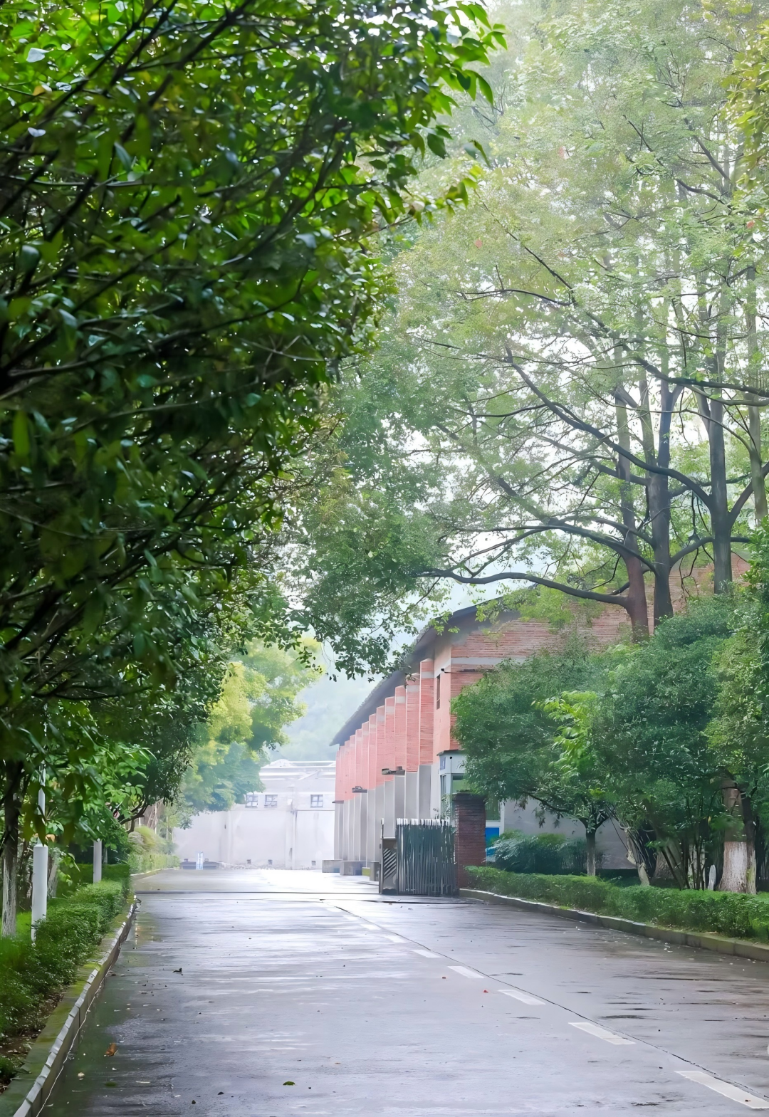 河流臂弯里，北纬30°的生态启示