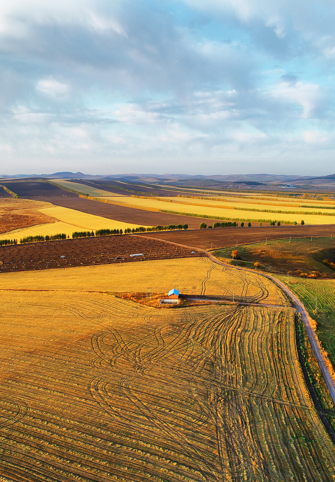 山河入杯：黑土地藏好酒