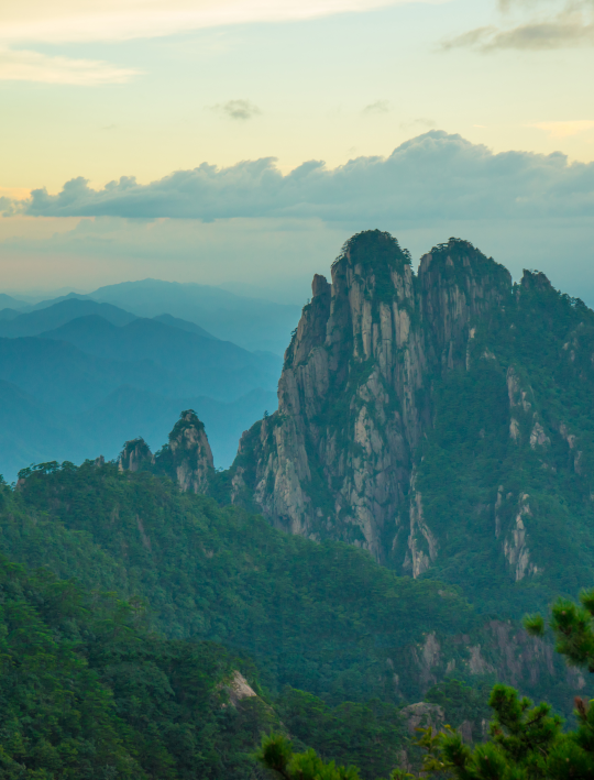 酒肴行天下：“安徽”是一种流动的滋味｜滋味家乡④