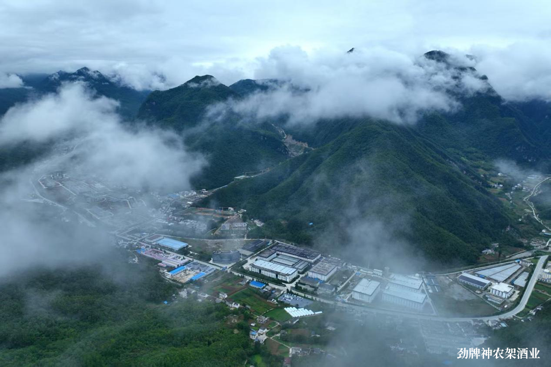 一瓶好酒的三种“劲”界