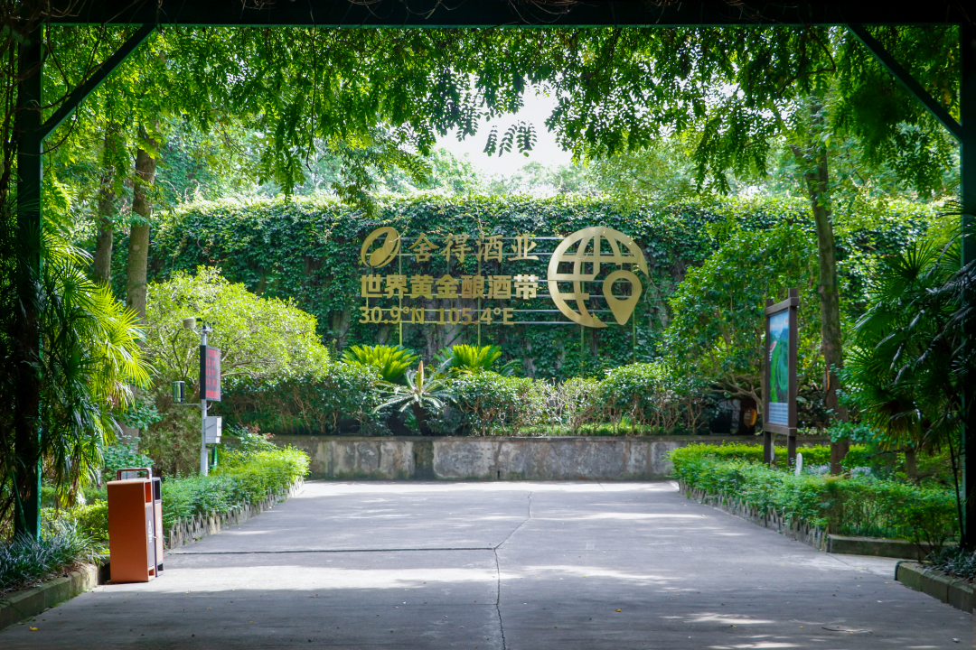 北纬30.9°，舍得用“慢哲学”重新定义生态老酒