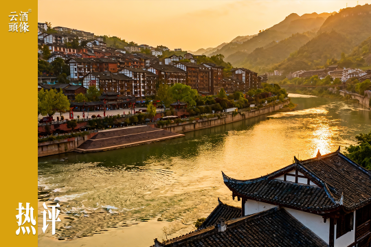 速读黔酒“十五五”规划：品牌向上，市场向外，体验向新