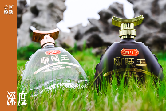 不搞光瓶、不追高端，兰陵如何在百元档冲出重围？