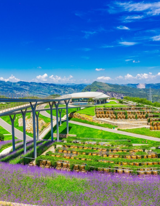 30个酒旅融合目的地推介名单发布，诠释中国好酒“美好生活方式”