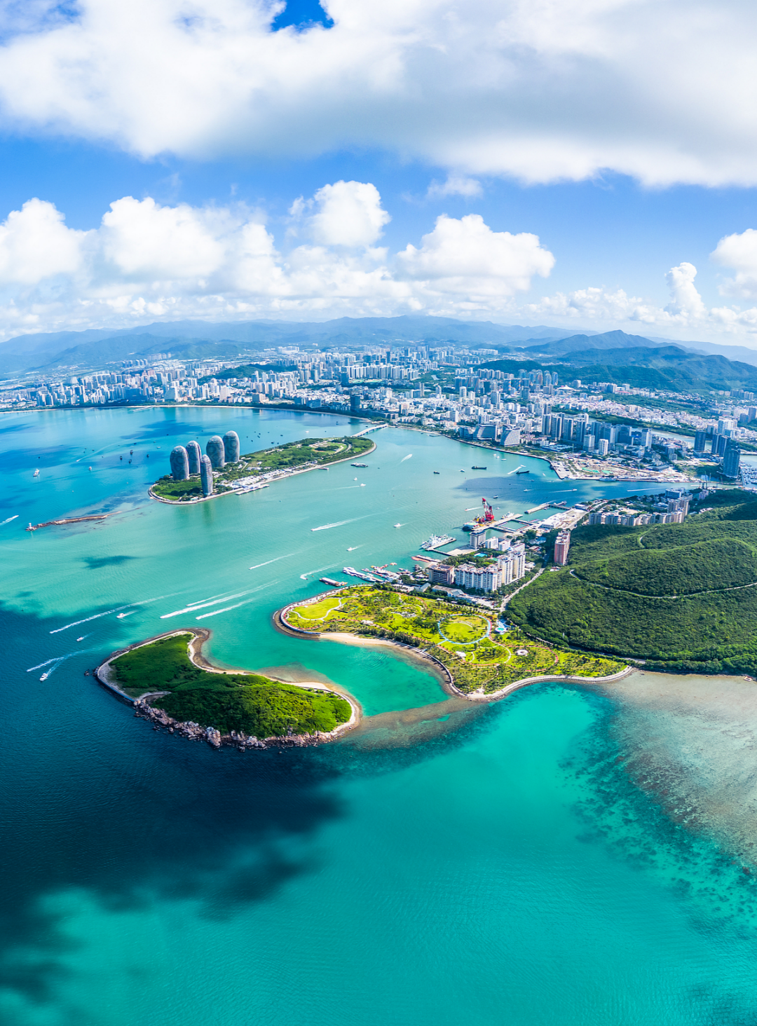 攥紧酒业&ldquo;芯片&rdquo;：海南封关下的酿酒种业革新与产业崛起