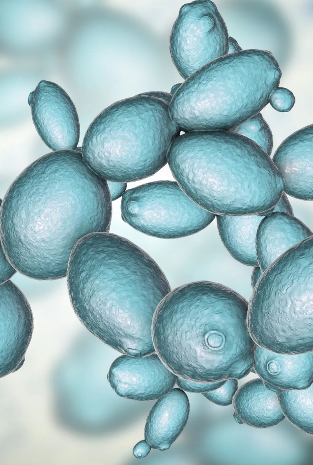 一场微生物组学&times;生态酿造的协同创新