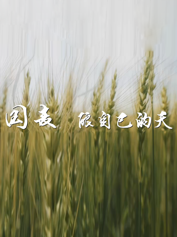 国麦，酿自己的天