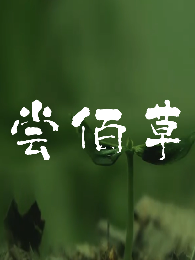 尝&ldquo;佰草&rdquo;
