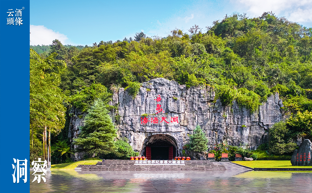 复盘2025，丹泉酒业的破局、立基与拓界