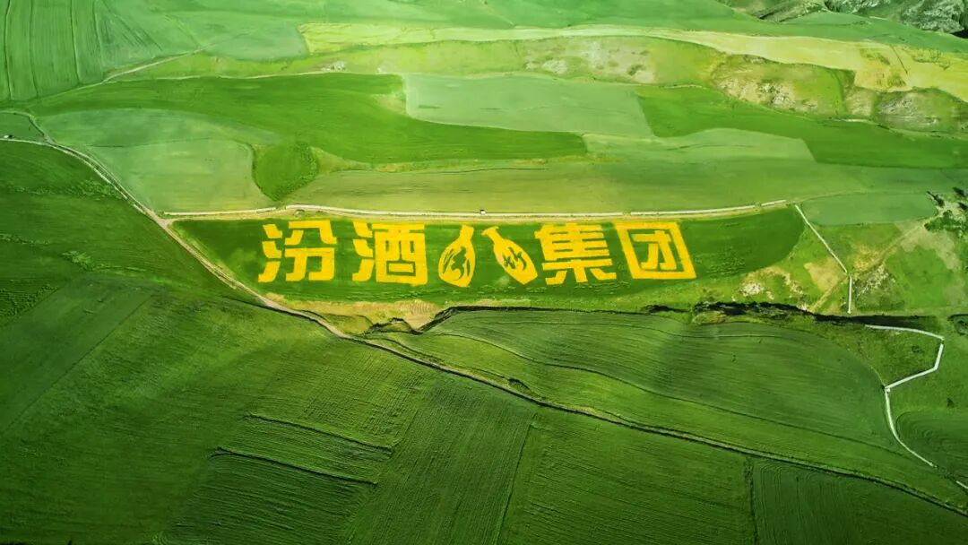 层层铁闸护清香！探秘汾酒严于国标的&ldquo;硬核&rdquo;质量防线