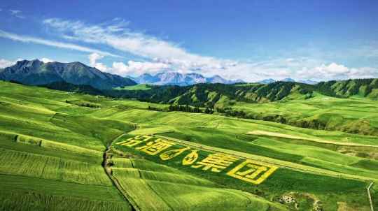 汾酒新周期，高质量发展引领复兴