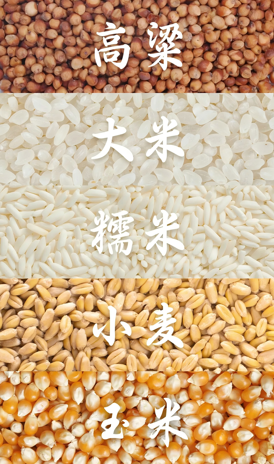 国际顶刊，揭秘&ldquo;五粮香&rdquo;