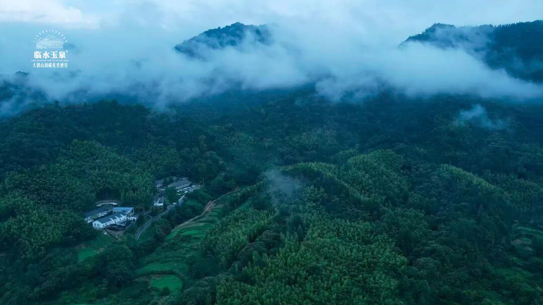 洞见别样风光：大别山腹地，临水玉泉的18年&ldquo;熬&rdquo;酒之道