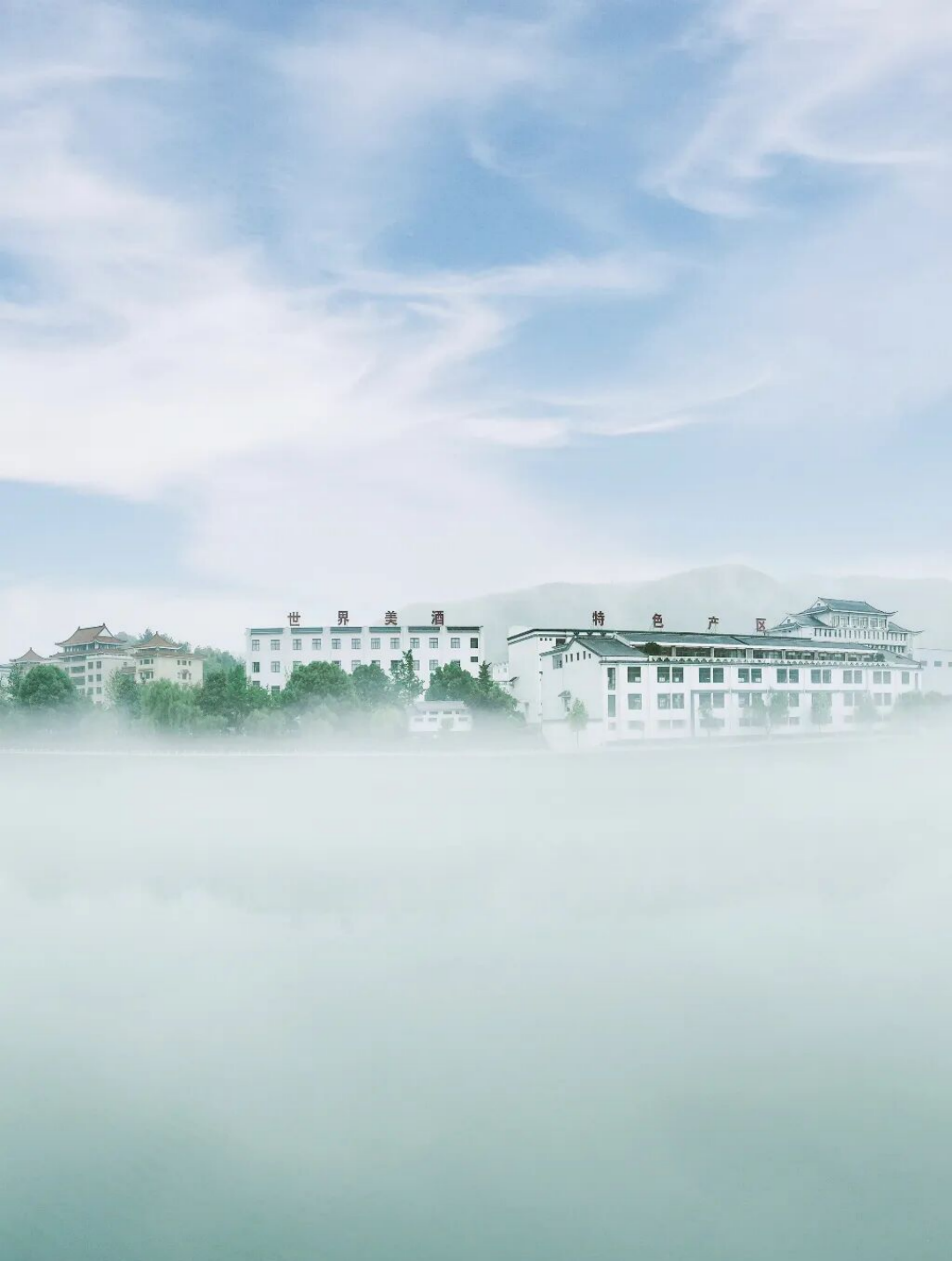 一瓶酒，一座城，一种迎驾式逆势生长