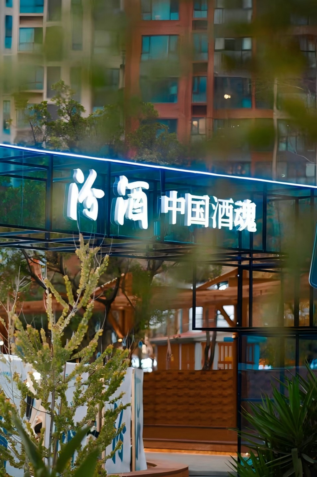 这才是汾酒