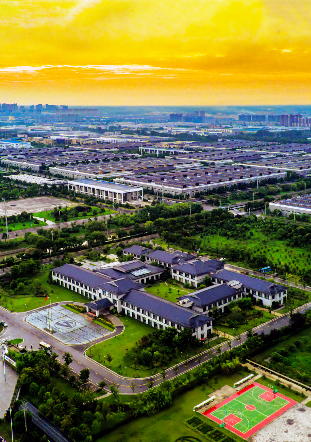 洋河的&ldquo;慢&rdquo;，正是好酒的长期主义