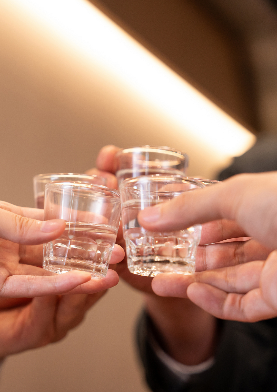 瑞典20年追踪研究，揭示饮酒与颈动脉斑块&ldquo;无显著关联&rdquo;