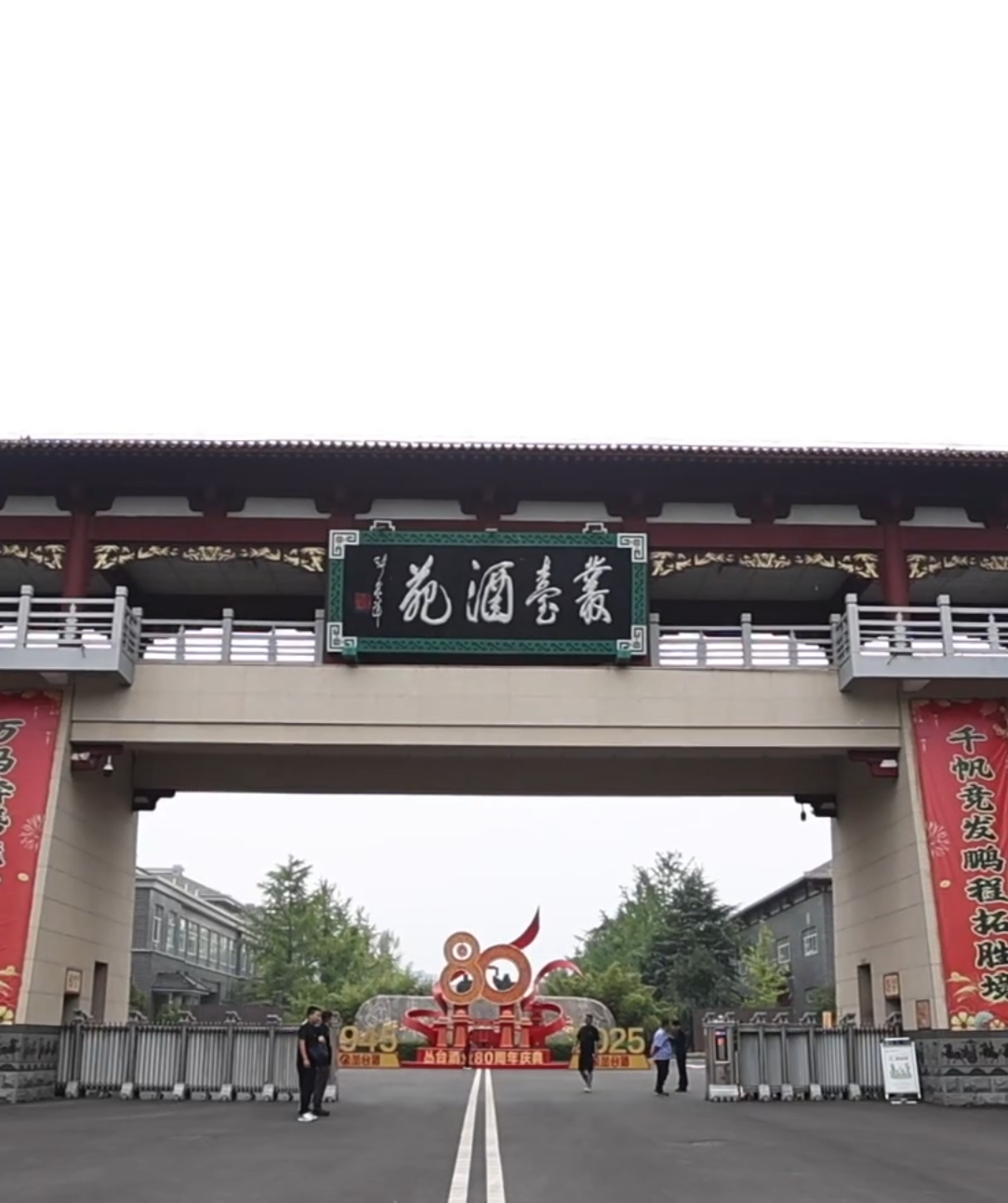 在交流与体验中感受丛台酒业的品牌魅力。2026#酒业经典品牌超级寻访 走进丛台酒业