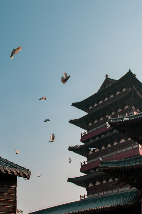 &ldquo;醉翁&rdquo;在阜阳