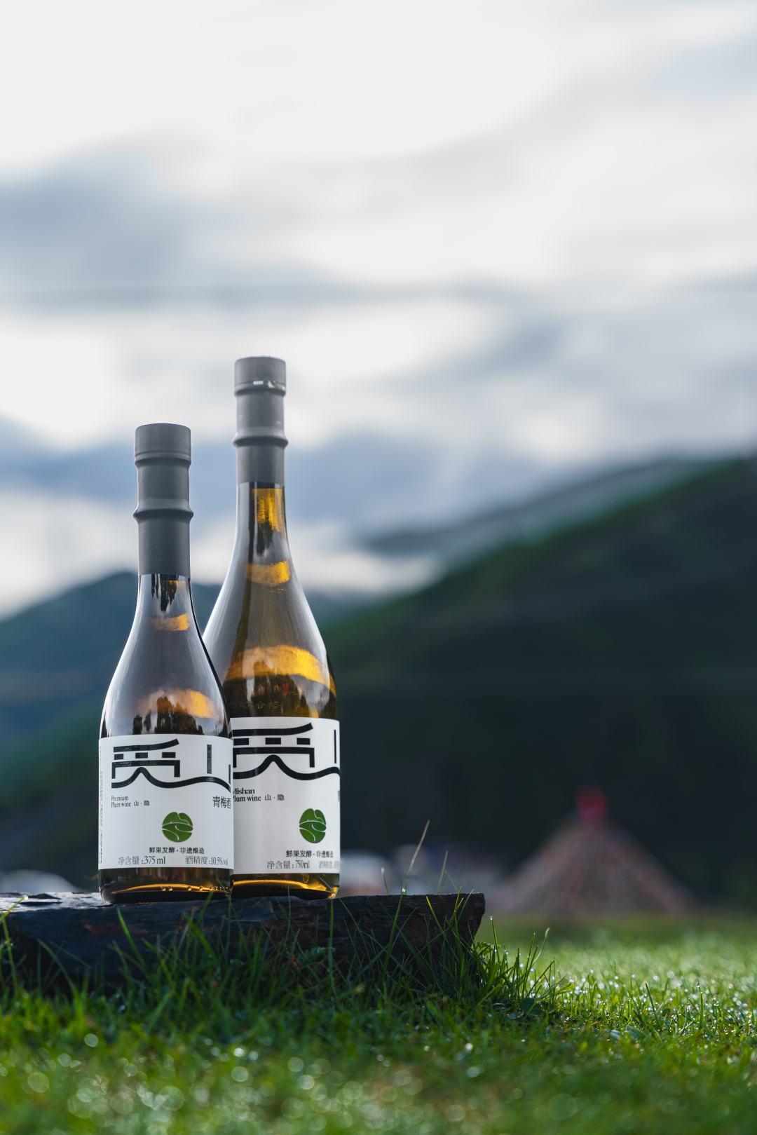 北纬30&deg;的邛崃崖谷，觅山如何酿出一杯不一样的中国青梅酒？