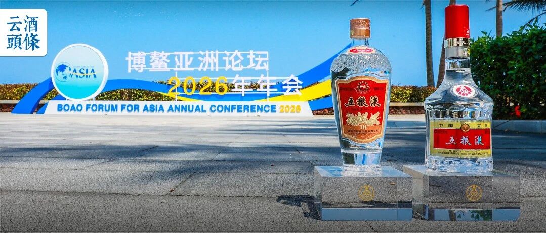 五粮液博鳌消费季，一场卓有成效的&ldquo;和美&rdquo;品销实践