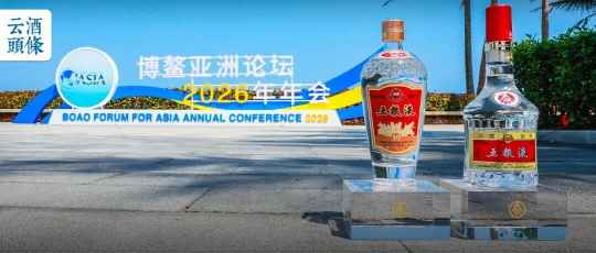 五粮液博鳌消费季，一场卓有成效的&ldquo;和美&rdquo;品销实践