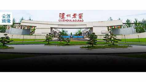 行业变局下，泸州老窖跑赢周期的底层逻辑是什么？