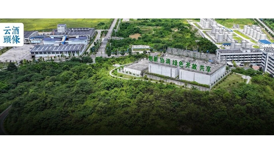 世界环境日，走进茅台这场&ldquo;实景公开课&rdquo;
