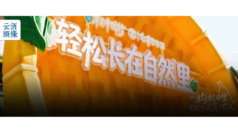 央视镜头下的枸杞田，藏着毛铺草本酒的品质底牌