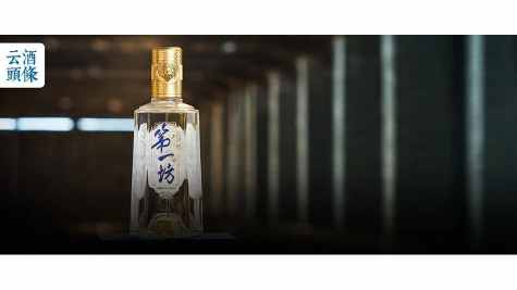 直击水井坊2025年度股东会：坚持价值深耕，聚焦高质量发展