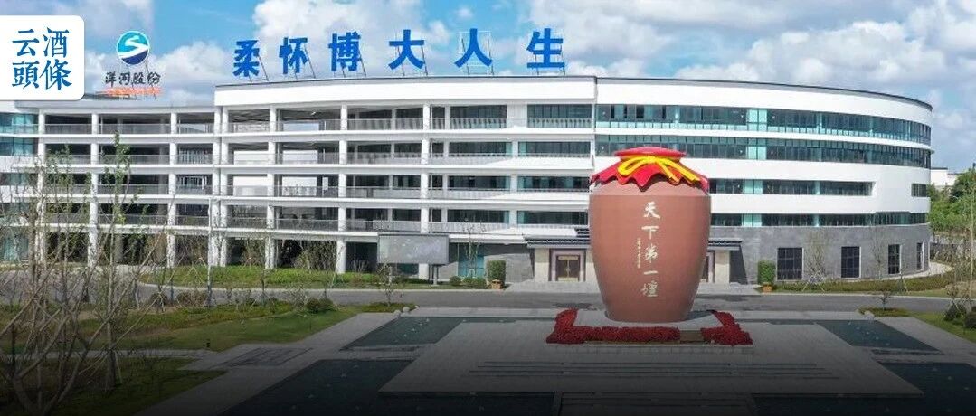 全省唯一！洋河入选企业主导省重点实验室有何深意？