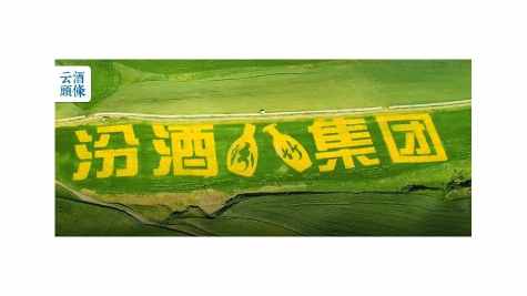 北上5000里，汾酒在天山脚下种出&ldquo;1号&rdquo;大麦