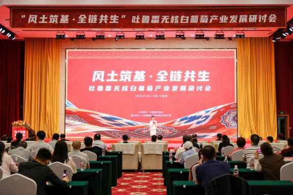 中国葡萄酒取得重大突破，无核白葡萄产业发展研讨会举行